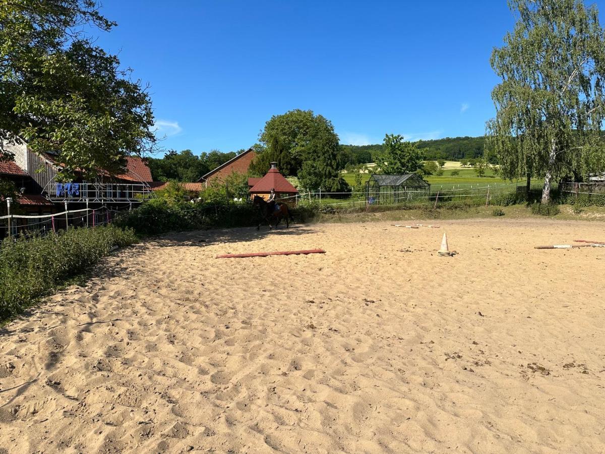 Fewo Im Reit- Und Ponyparadies Roos Halle  Exterior photo